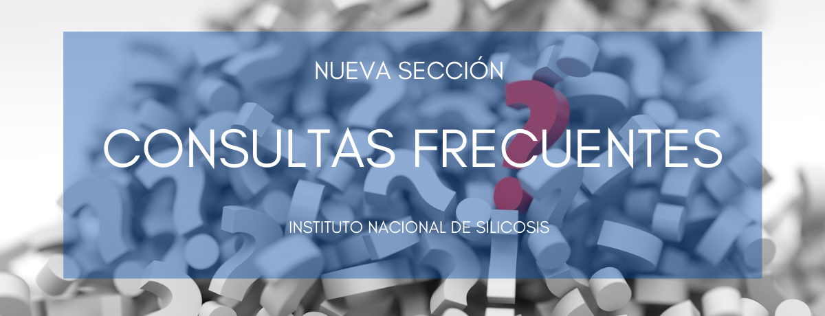 SECCIÓN CONSULTAS FRECUENTES